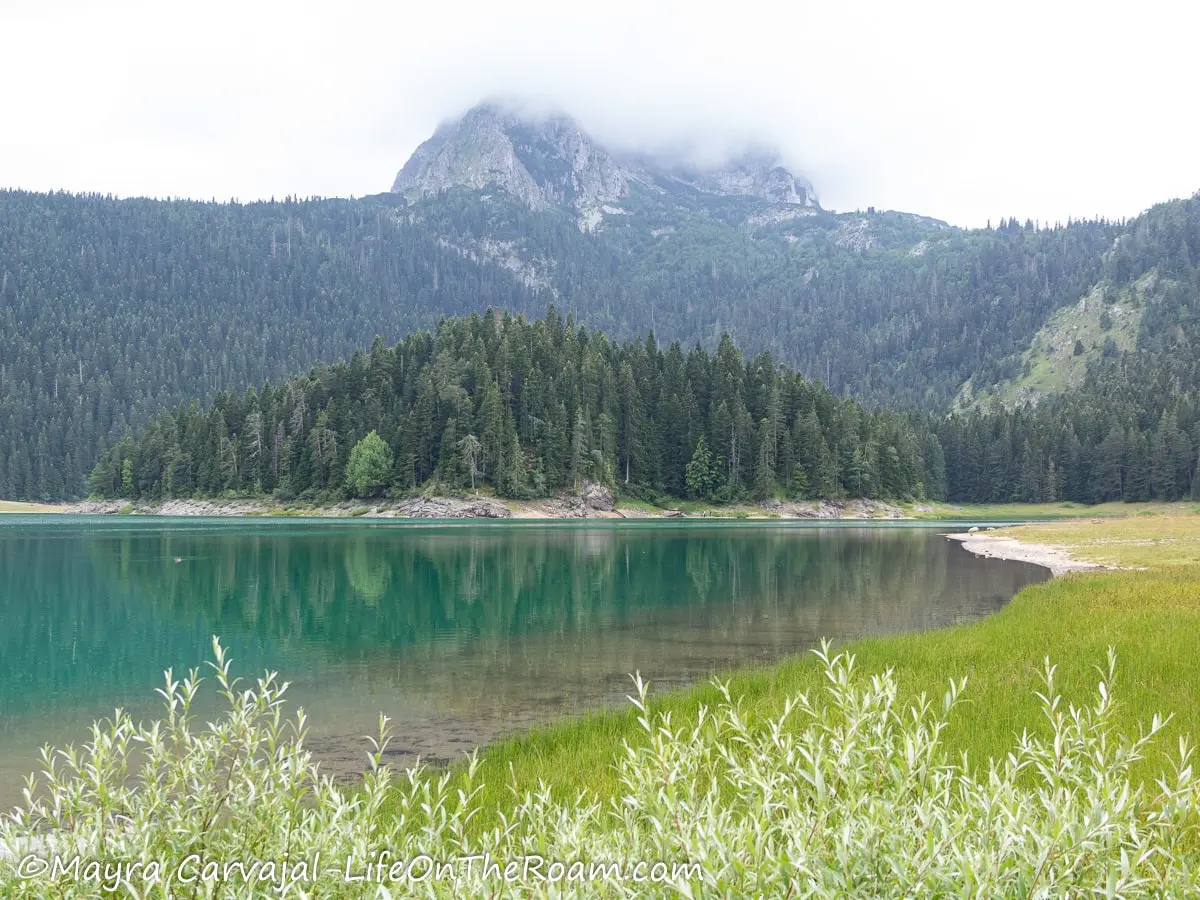 A lake surrounded by a pine forest with a peak in the background hidden by clouds and grasses in the foregroud