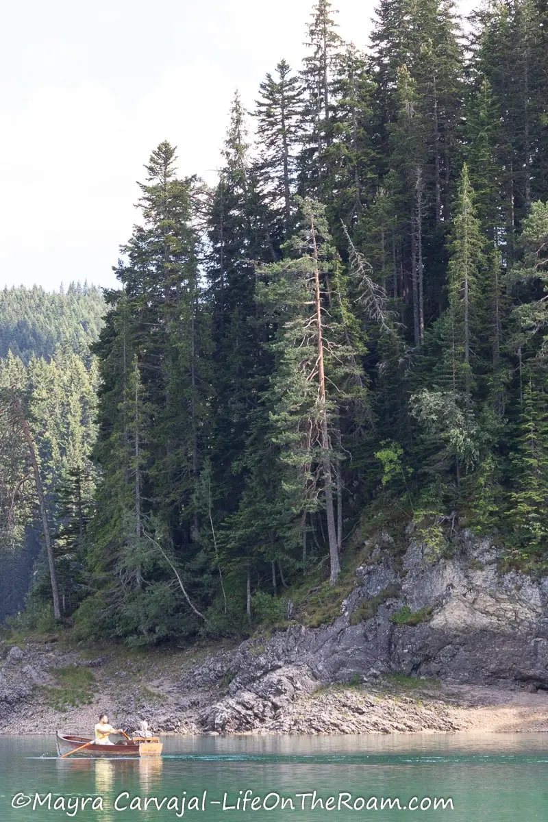 A canoe with two people paddling on a lake surrounded by a pine forest