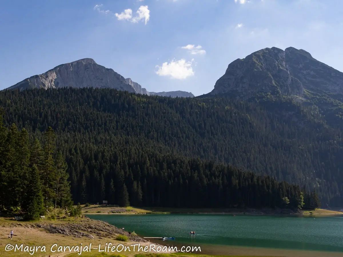 A lakeshore with a pine forest along the edge and two peaks on a sunny day