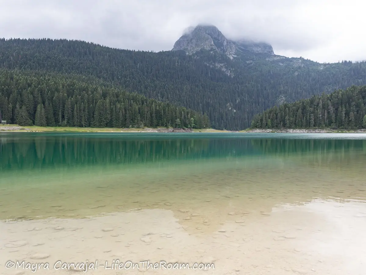 A lake with clear waters on the shore and aquamarine shades in the distance, with a conifer forest in the background crowned by a peak with clouds