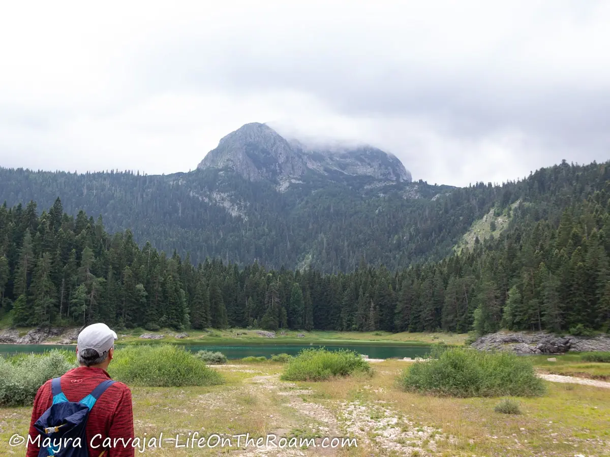 A lake with a pine forest around and a mountain peak in the background