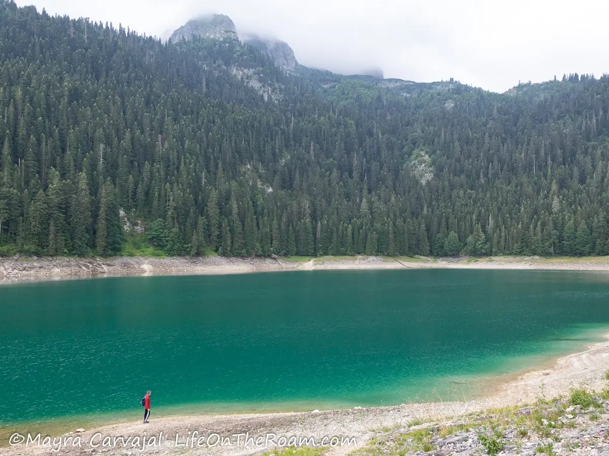 A lake with turquoise water with a pine forest along the shore and mountain peaks partially covered by clouds