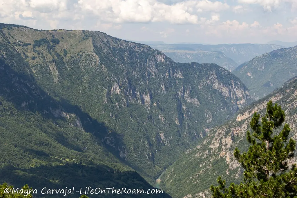 High view of a deep canyon with a river at the bottom and trees covering the walls