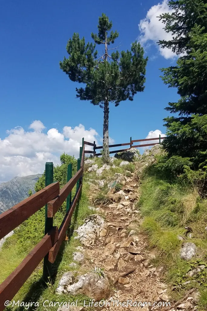 A hiking trail along the edge of a cliff with rocky terrain and a fence