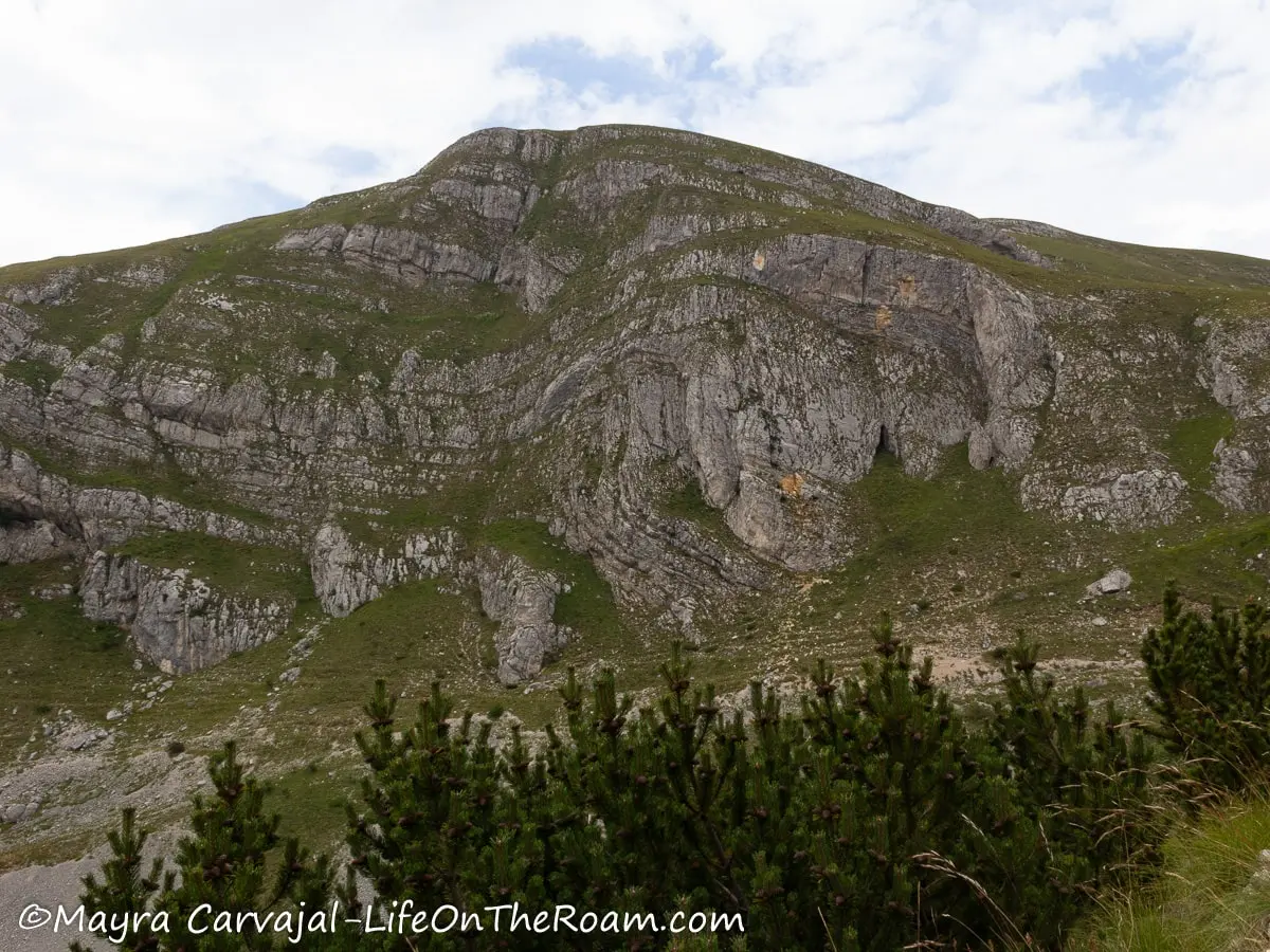 A mountain with twisted horizontal layers, semi-covered in vegetation