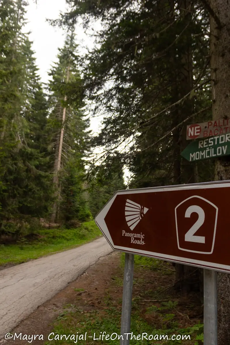 A brown road sign reading "Panoramic Roads"