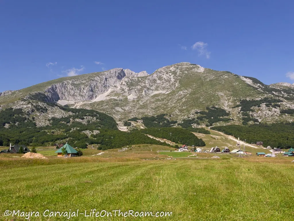 View of a mountain with karst and a forest on the slopes, with grasses in the foreground