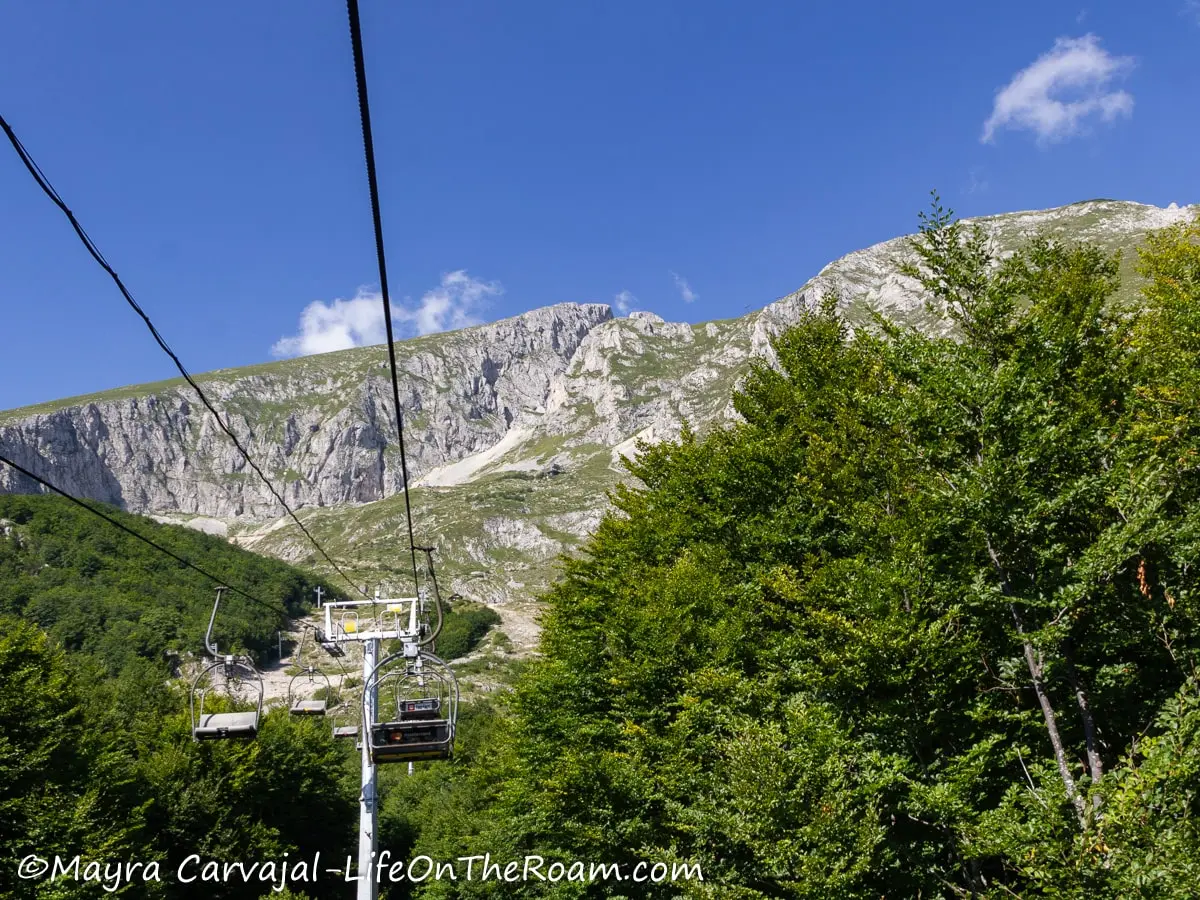 Ski lifts riding above tall trees towards a high mountain