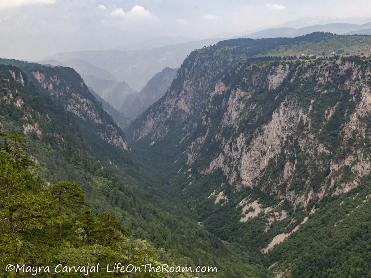 View of the bottom of a canyon with the walls covered in vegetation