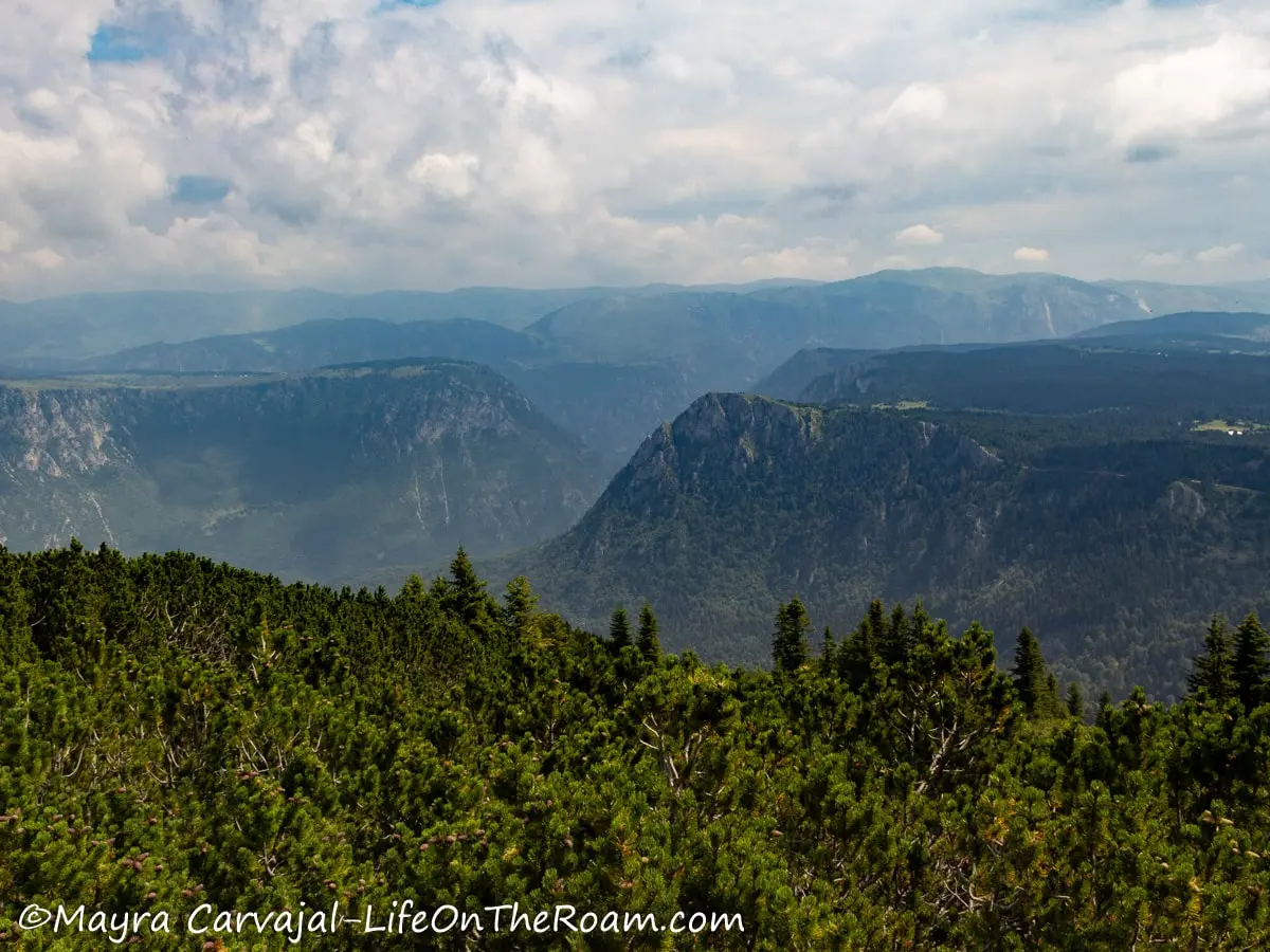 View of a deep canyon from a high viewpoint with vegetation