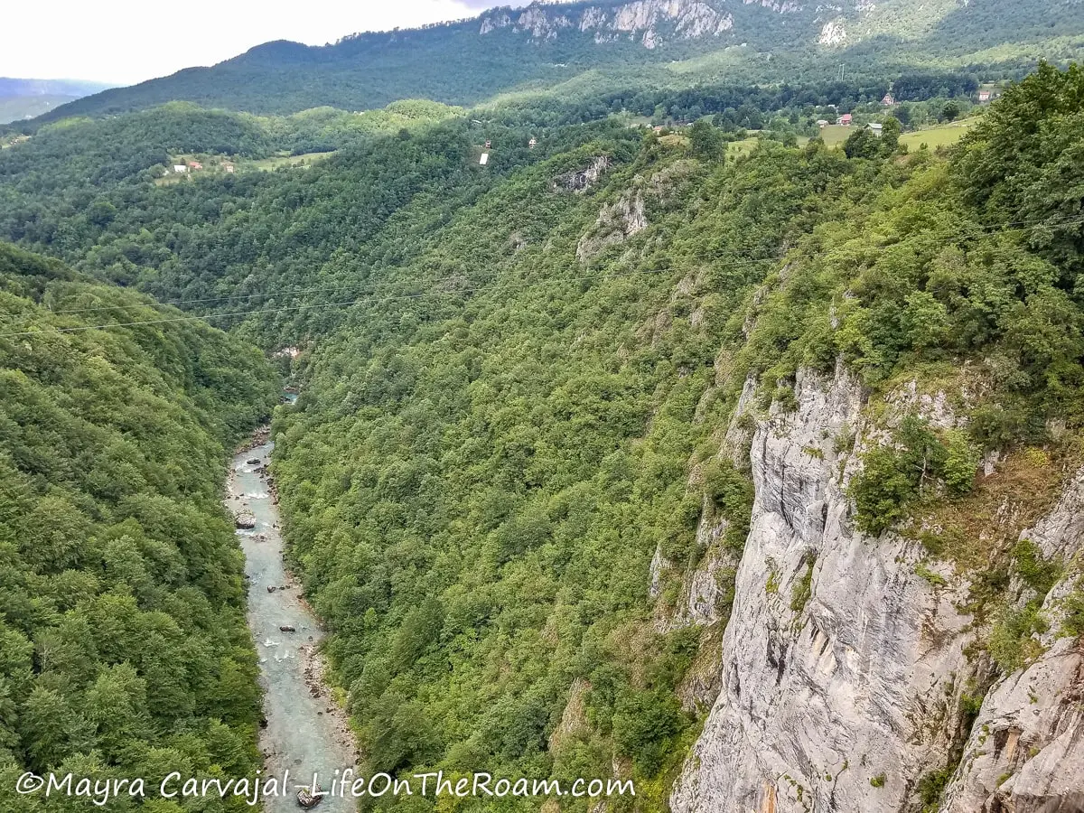 View of a river and a rocky canyon wall on the right with mountains in the background