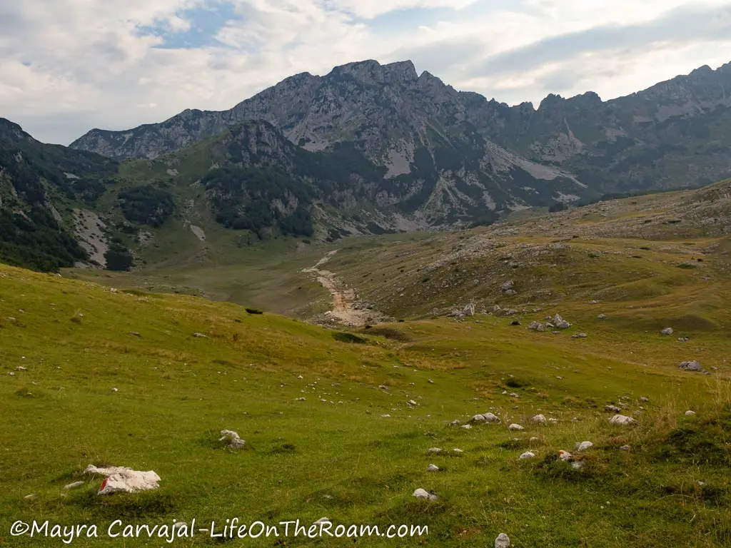 A trail that going through a valley with a tall mountain in the distance