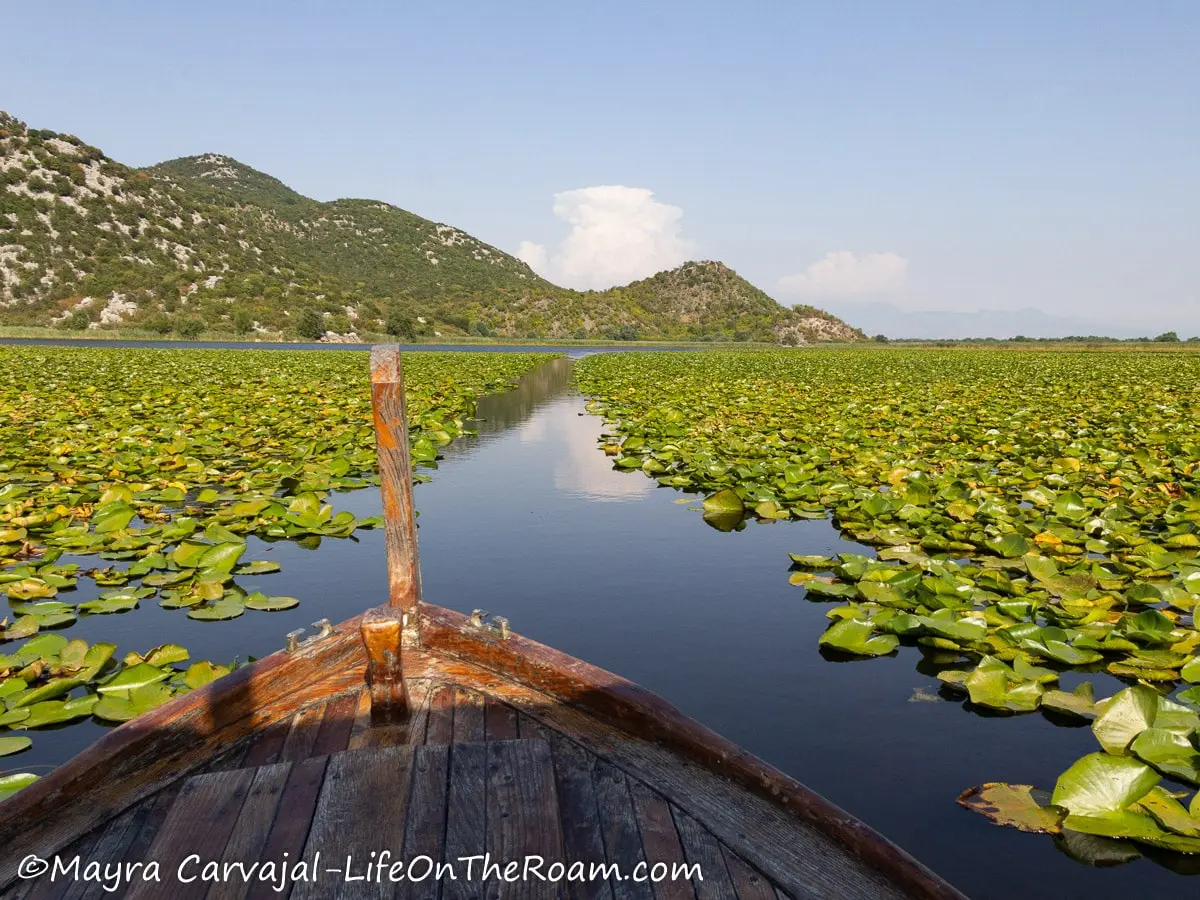 A wooden boat navigating through a canal formed by lily pads