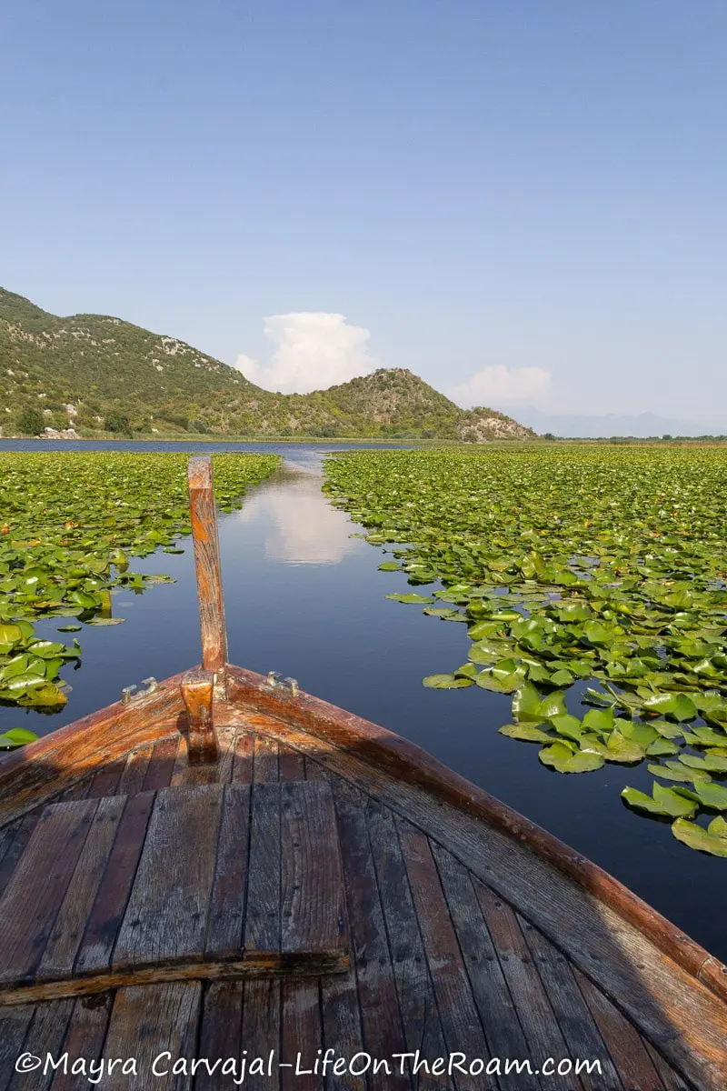 The bow of a wooden boat cruising on a canal with lily pads