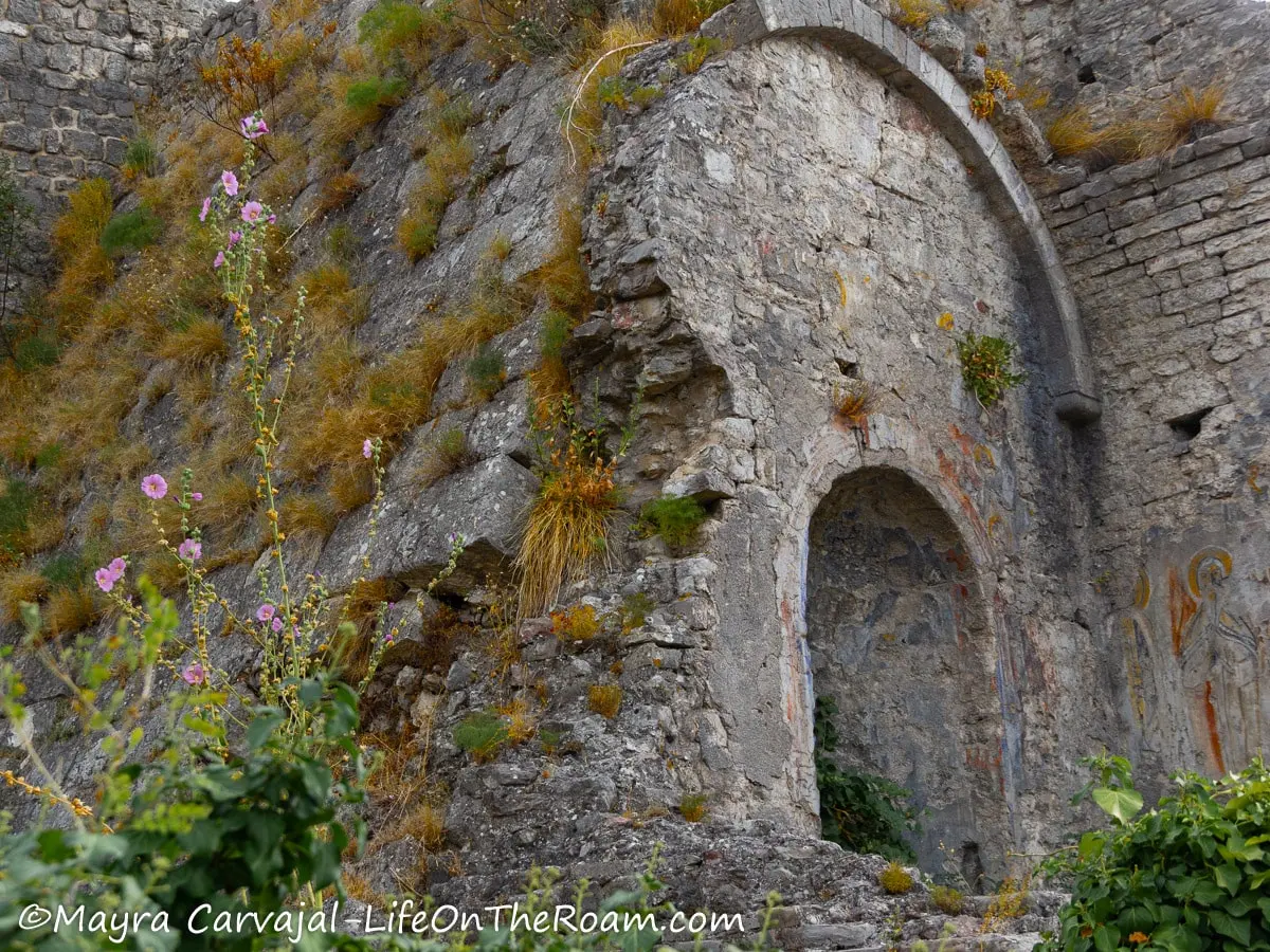 Ruins of a stone building with a niche in the front and outgrown vegetation 