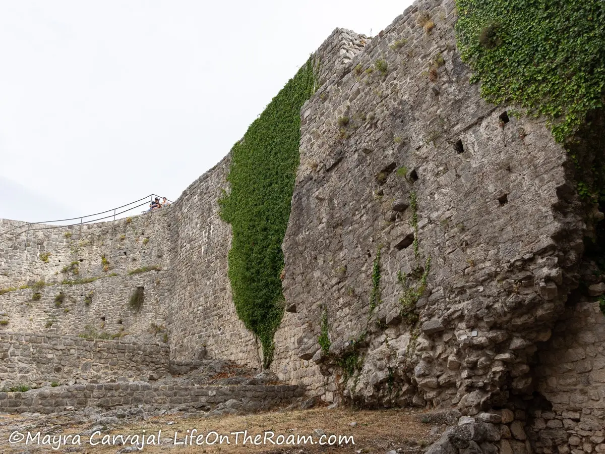 A massive wall made of cut stone with some vegetation growing on it