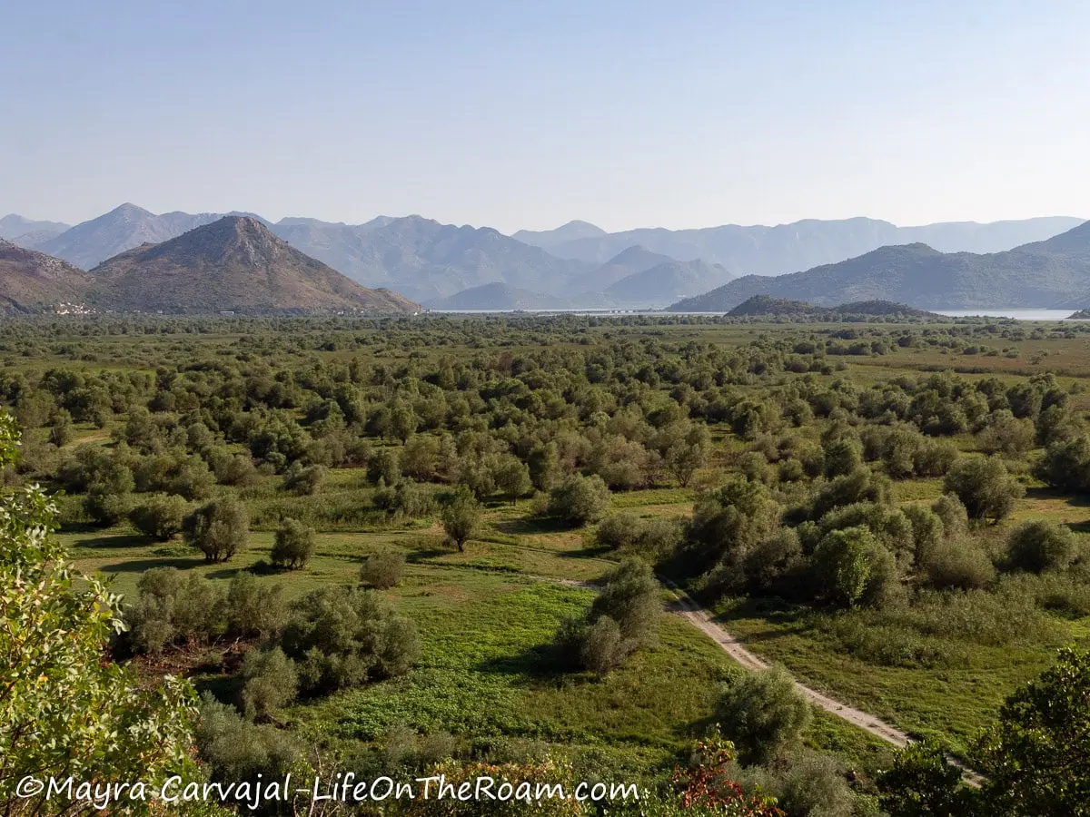 A panoramic view of a valley with trees and mountains on the lake in the background