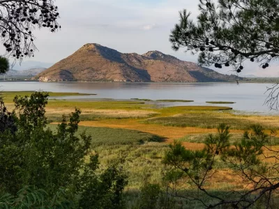 A lake with marshes and tall mountains in the background