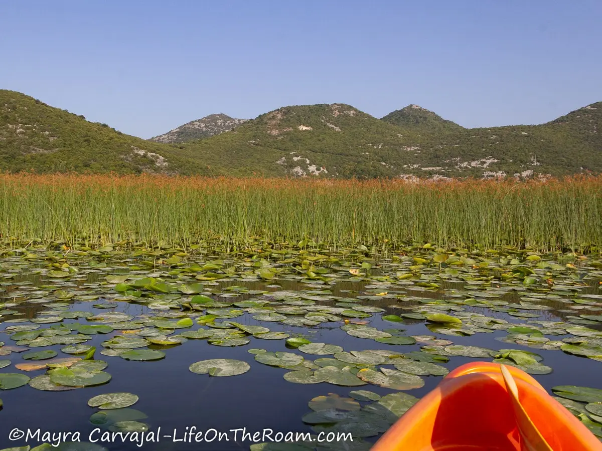 An orange kayak on a lake with views of marshes and mountains in the background