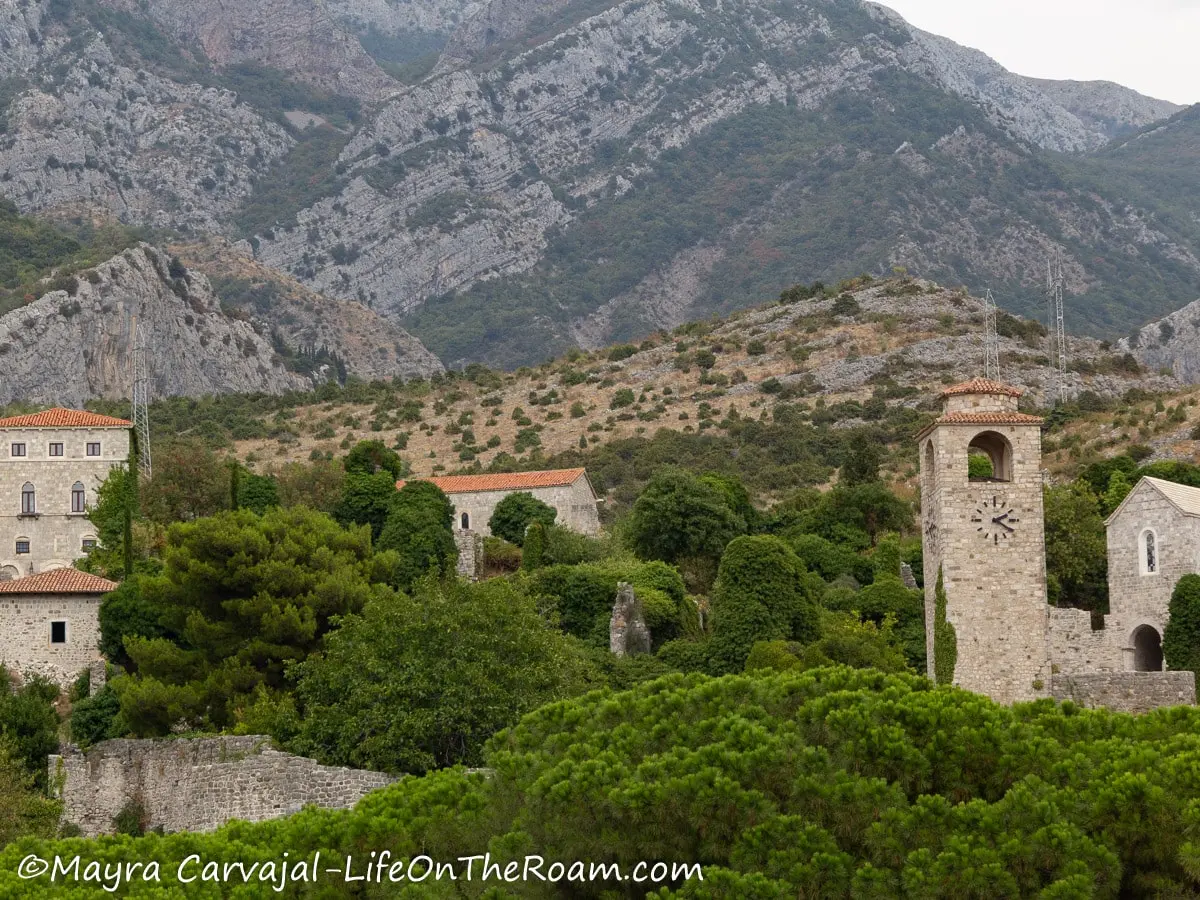 View of ancient stone buildings peaking out of a tree forest with a mountain in the background