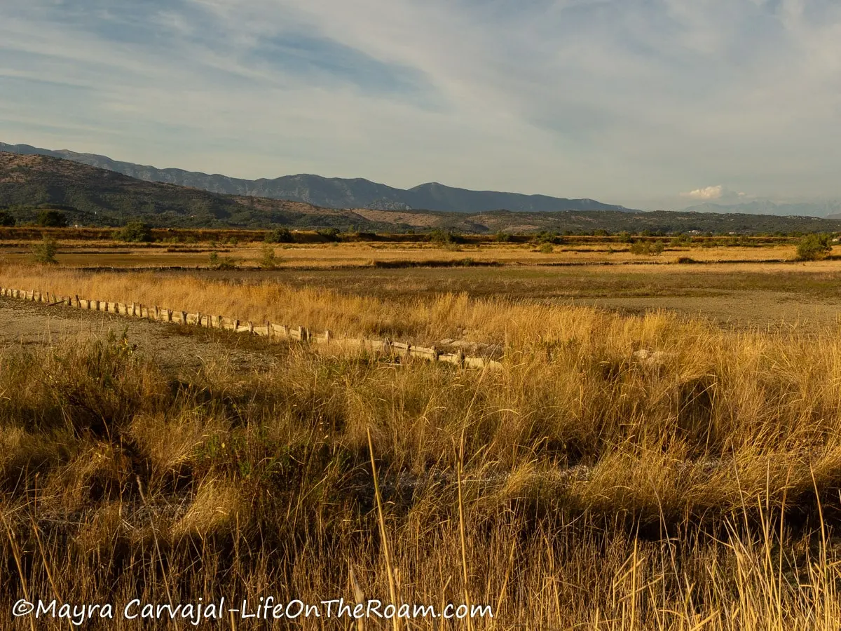 Abandoned salt pans with grasses and mountains in the background