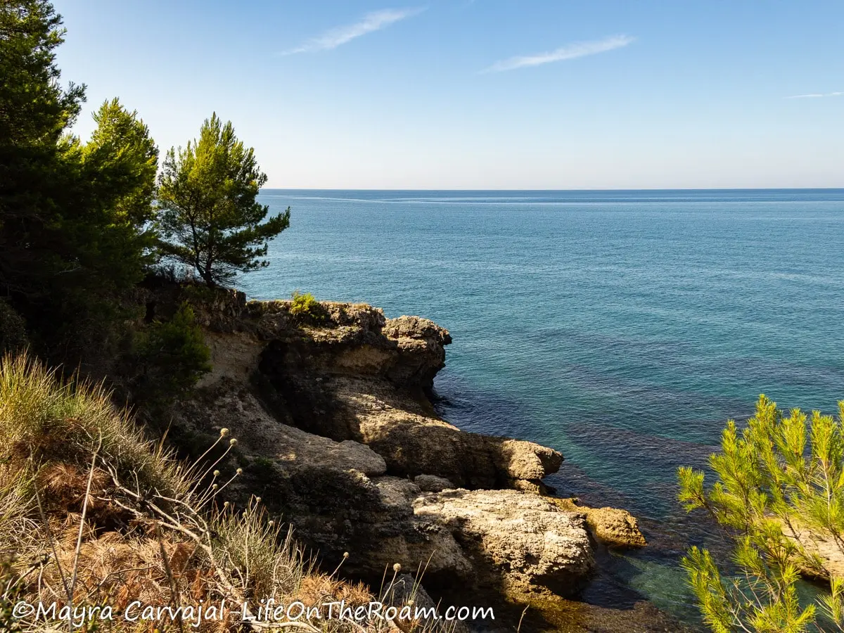 View of the sea and the rocky seashores with a few trees