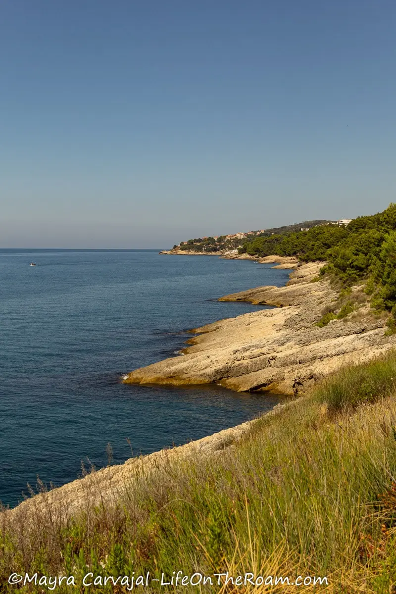 A rugged coastline with trees on a sunny day