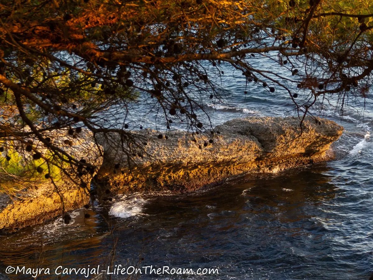 View of a section of a rugged seashore from a clearing among vegetation