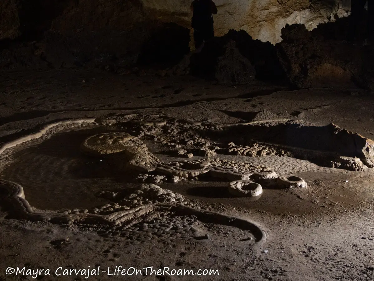 Mineral deposit on the floor of a cave starting to form a stalagmite