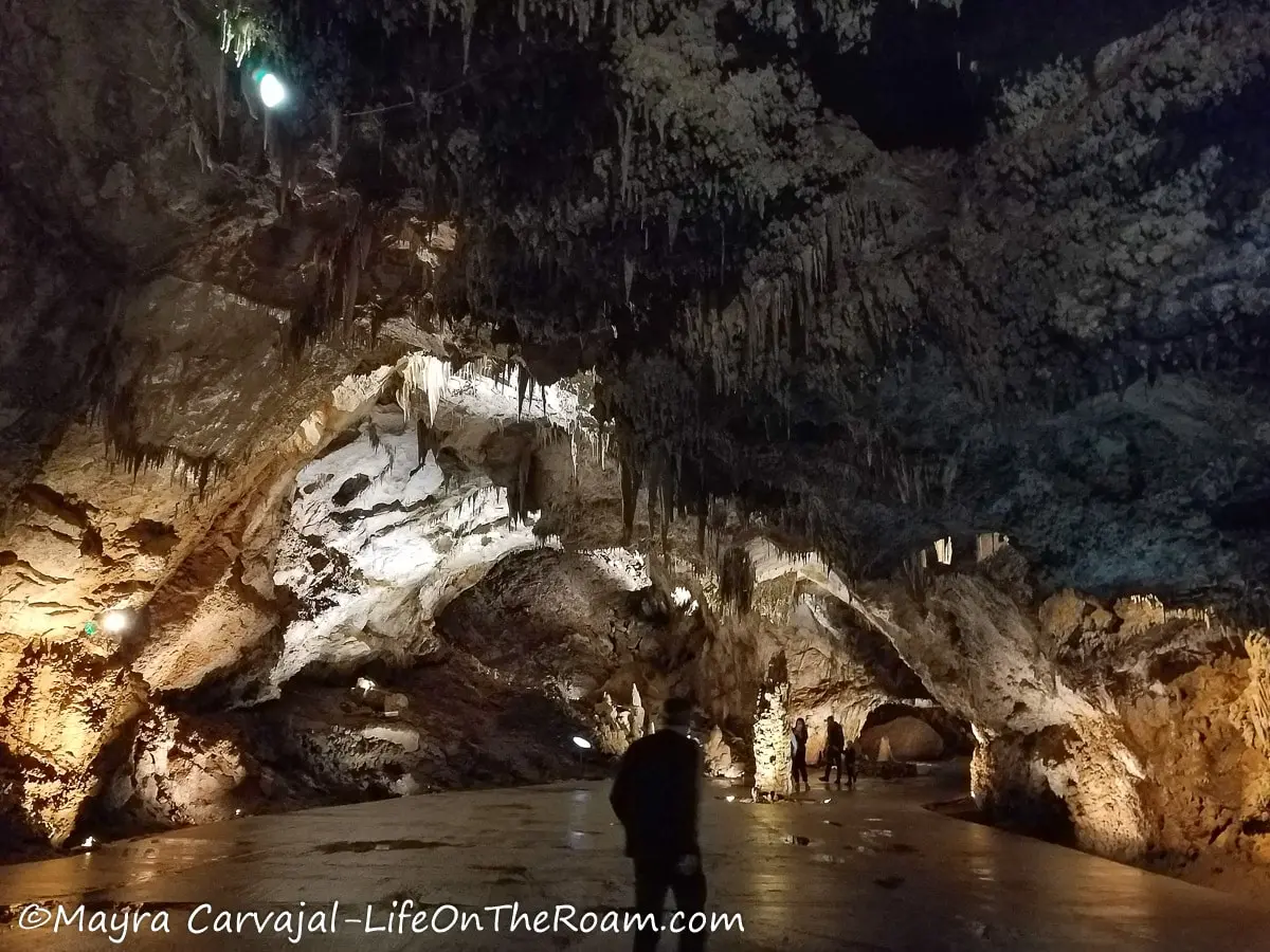 A small group of people visiting a large cave with stalactites