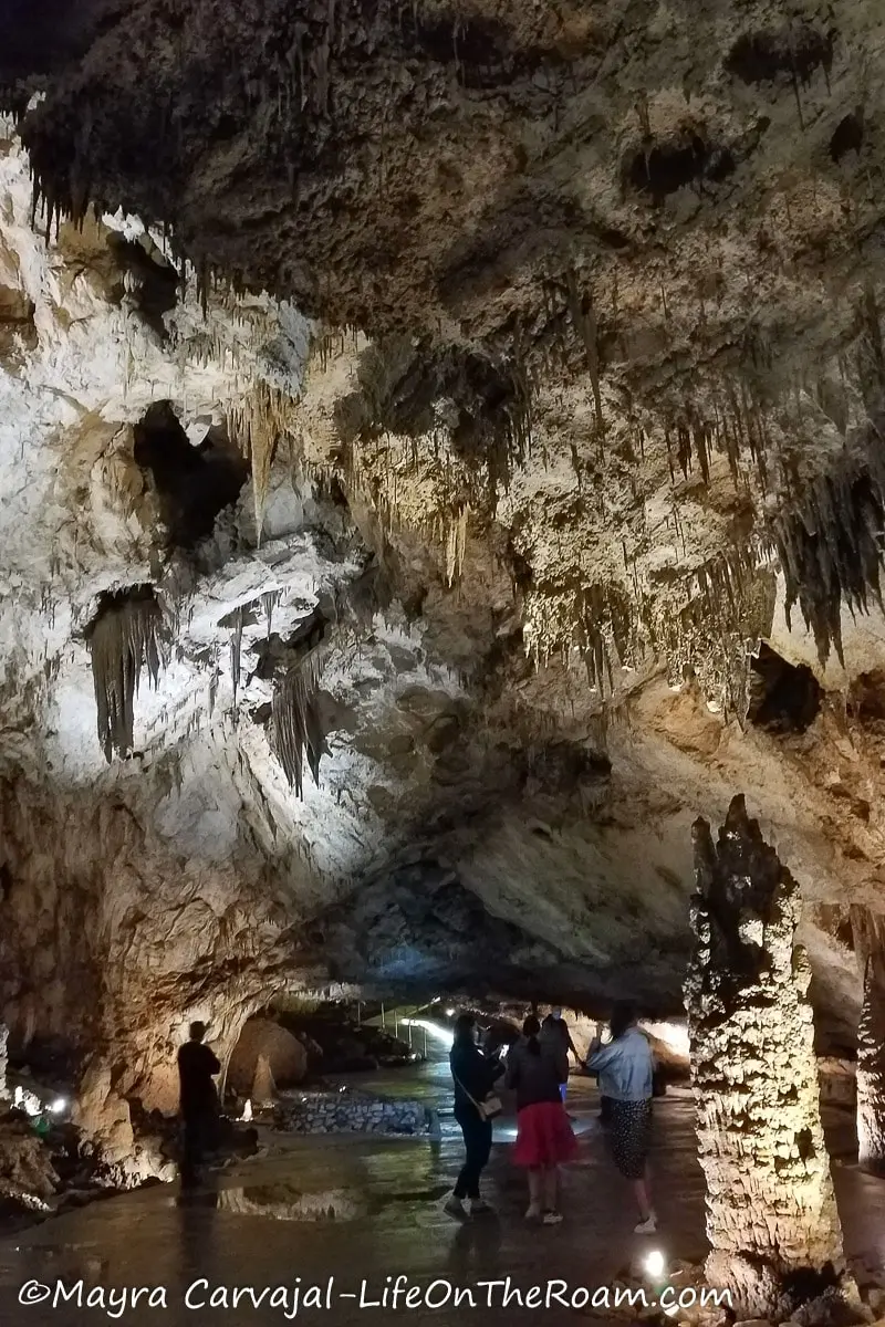 A small group of people standing under a tall and wide cave