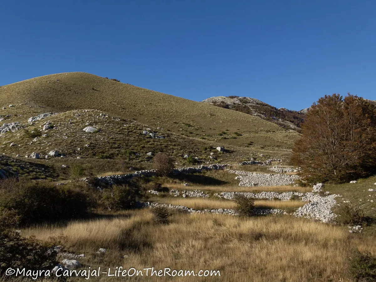 Rolling hills with grasses and rocks on a sunny day