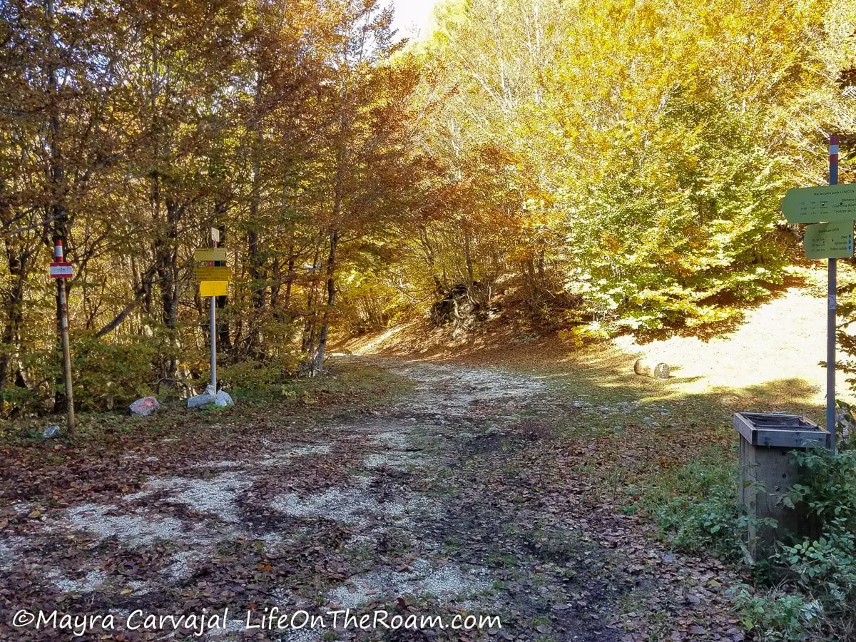 A trail in the forest with signposts