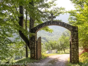 A stone arch at the end of a narrow road with trees around and a cross on top