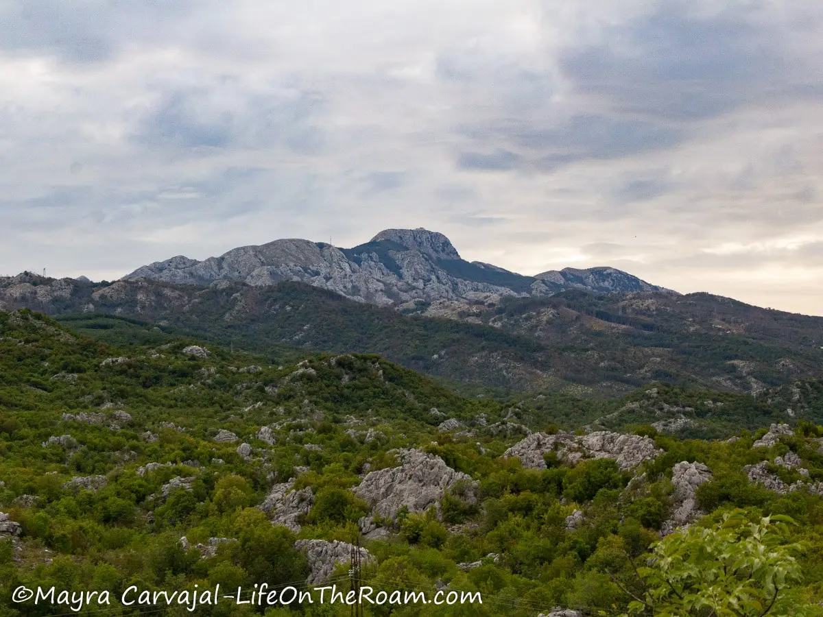 View of a mountain peak with a rock and vegetation foreground