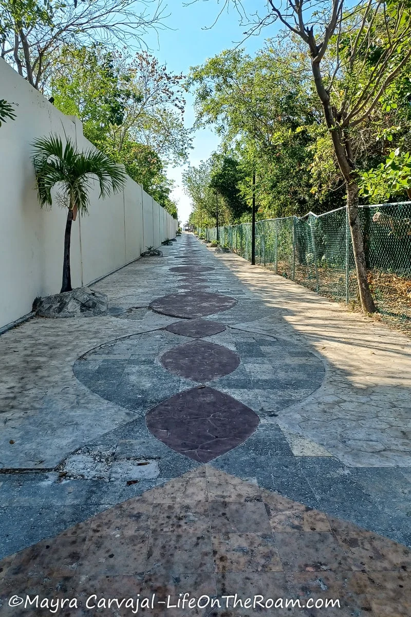 A paved outdoor path with coloured designs, and flanked with palm trees