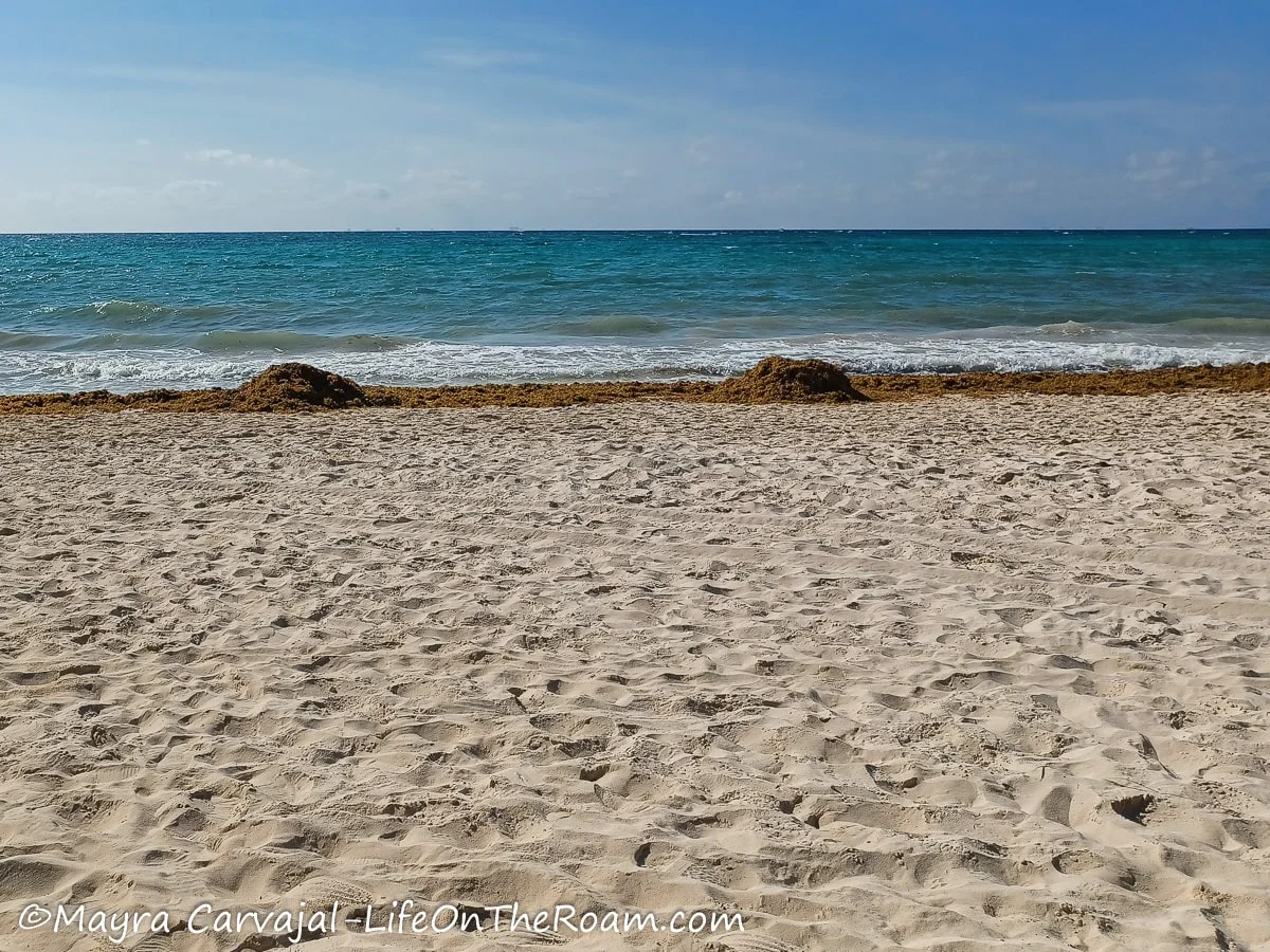 A beach with blue sea and a wide stretch of sand with sargassum near the shore
