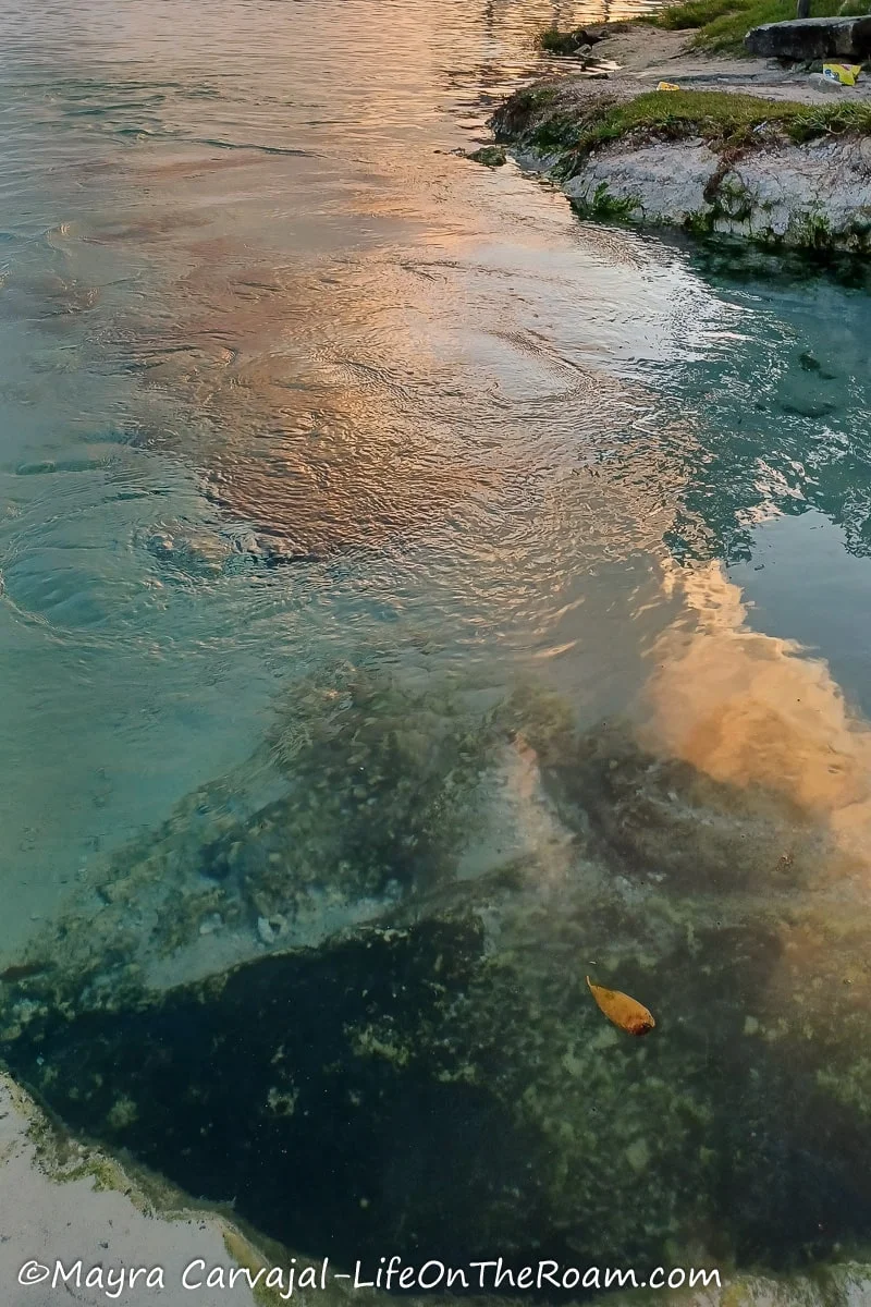 An underground spring with sunset rays reflected on the water