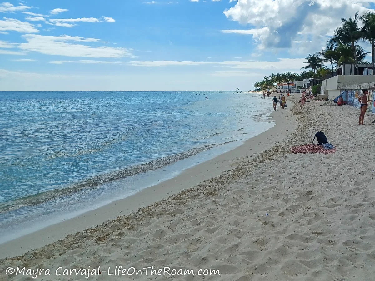 A long sandy beach with houses and palm trees on the right