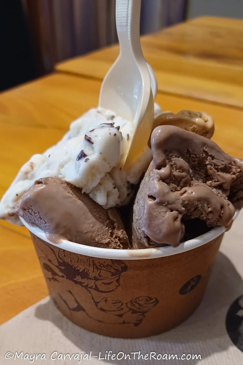 A cup with three different flavours of ice cream