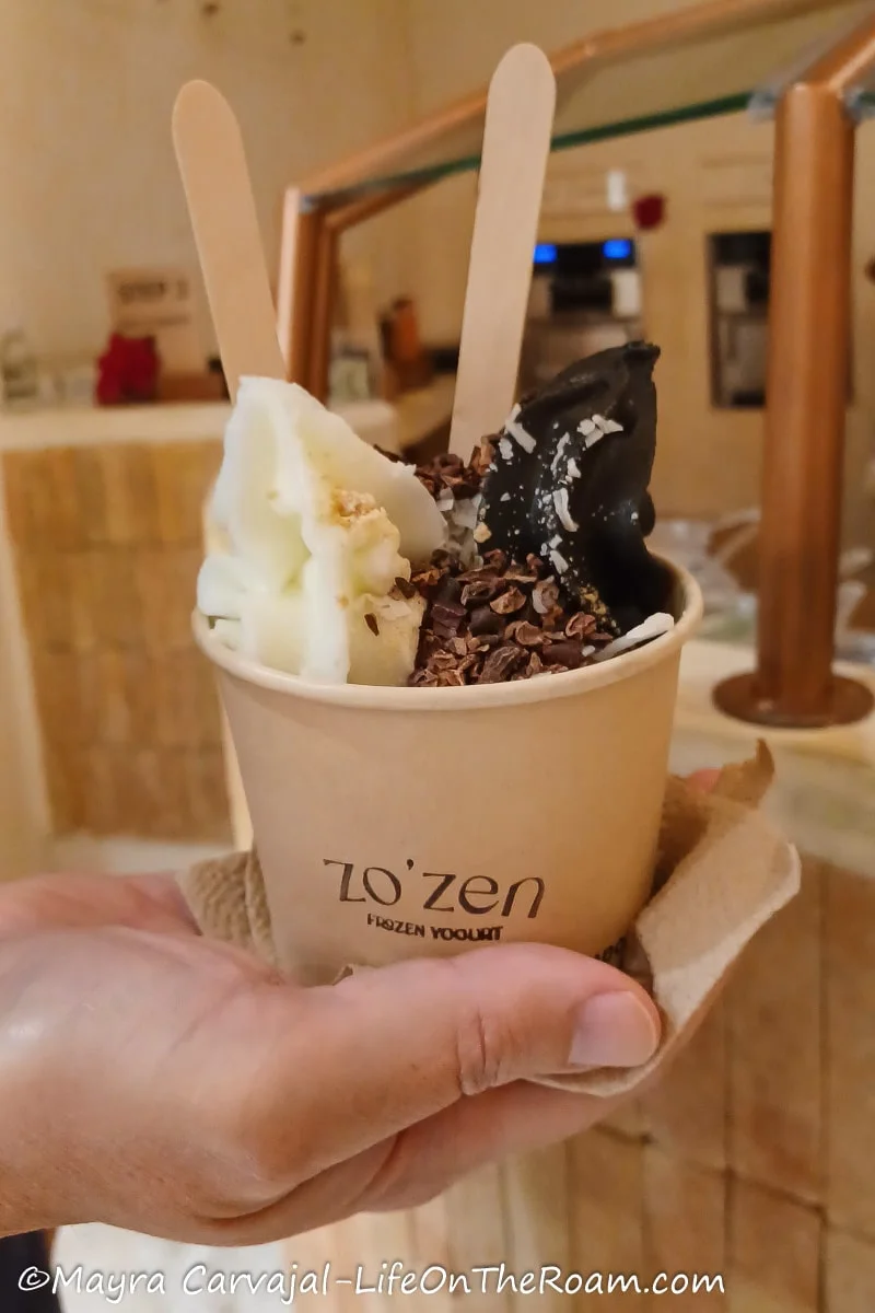 A hand holding a cup with frozen yogurt