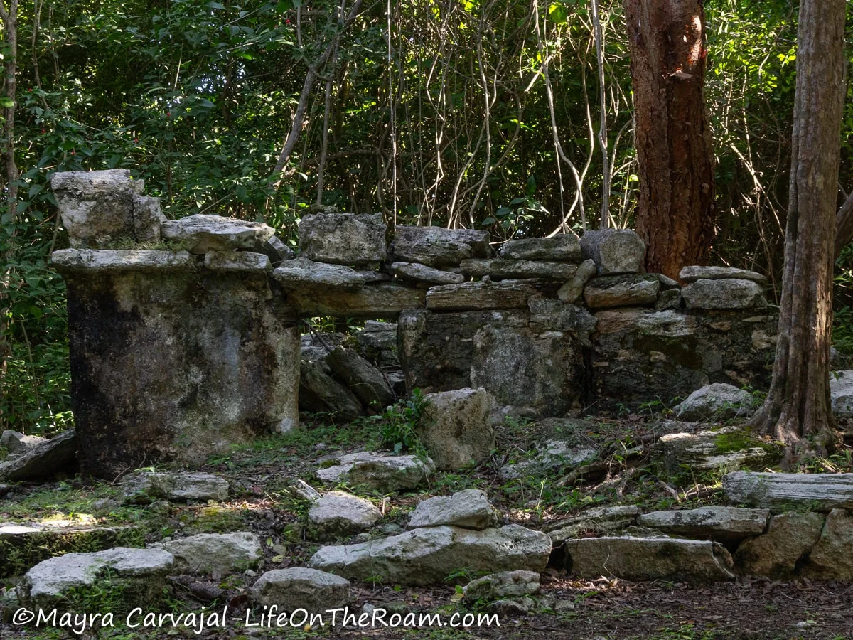 Small Mayan ruins in the jungle