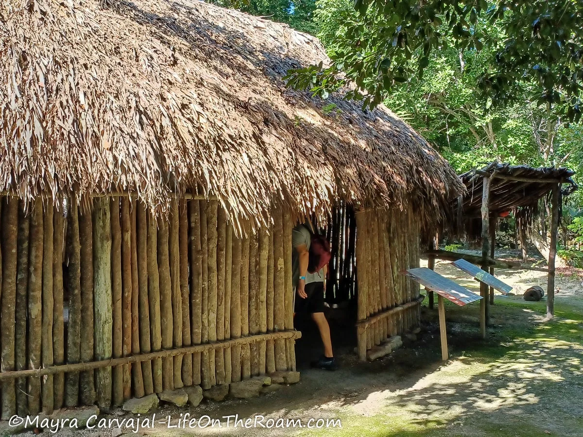 A round residential unit made of natural materials