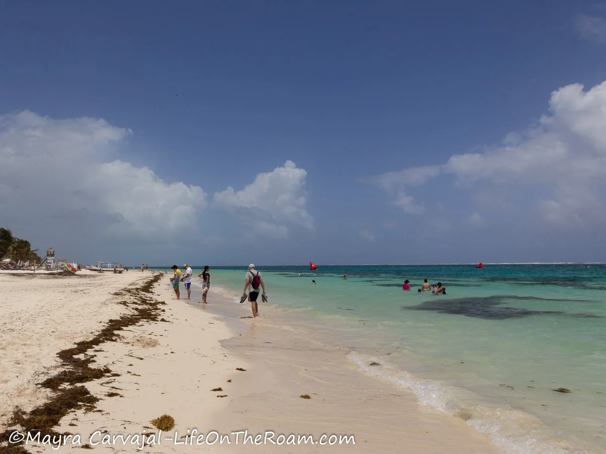 A long sandy beach with some sargassum