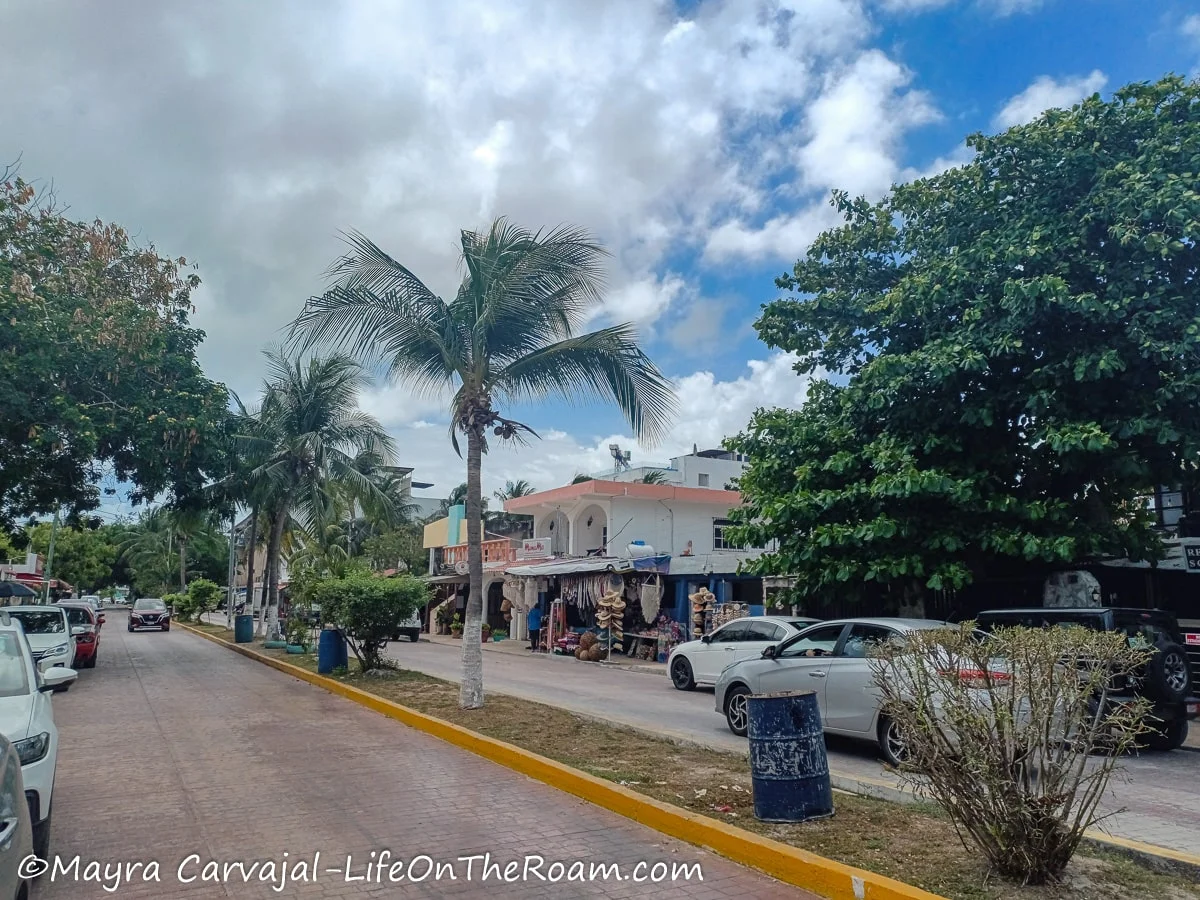 A narrow street in a beach town with palm trees