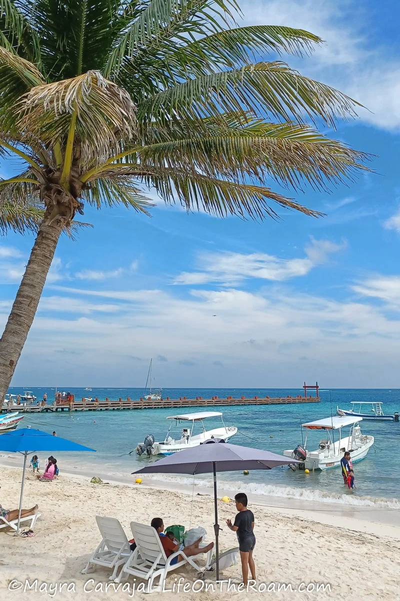 People lounging on a beach with palm trees and some boats in the water