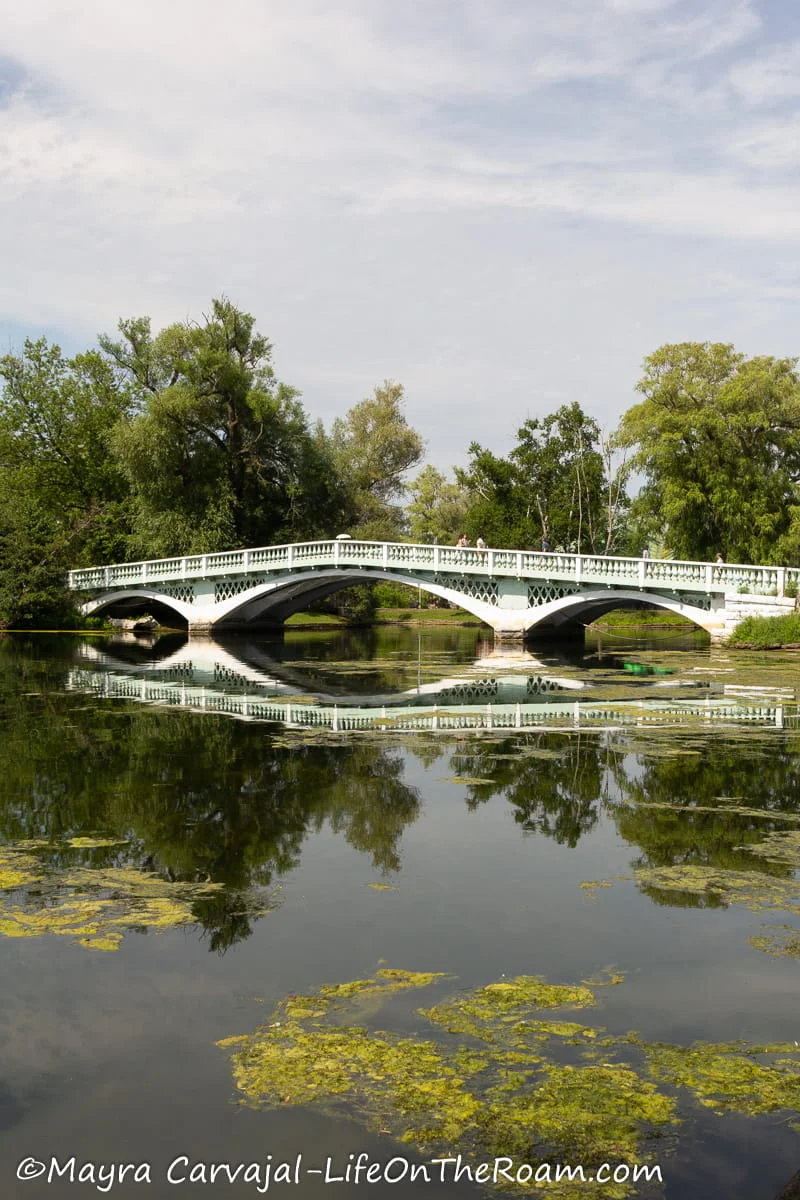 A white bridge over a calm pond with trees in the background