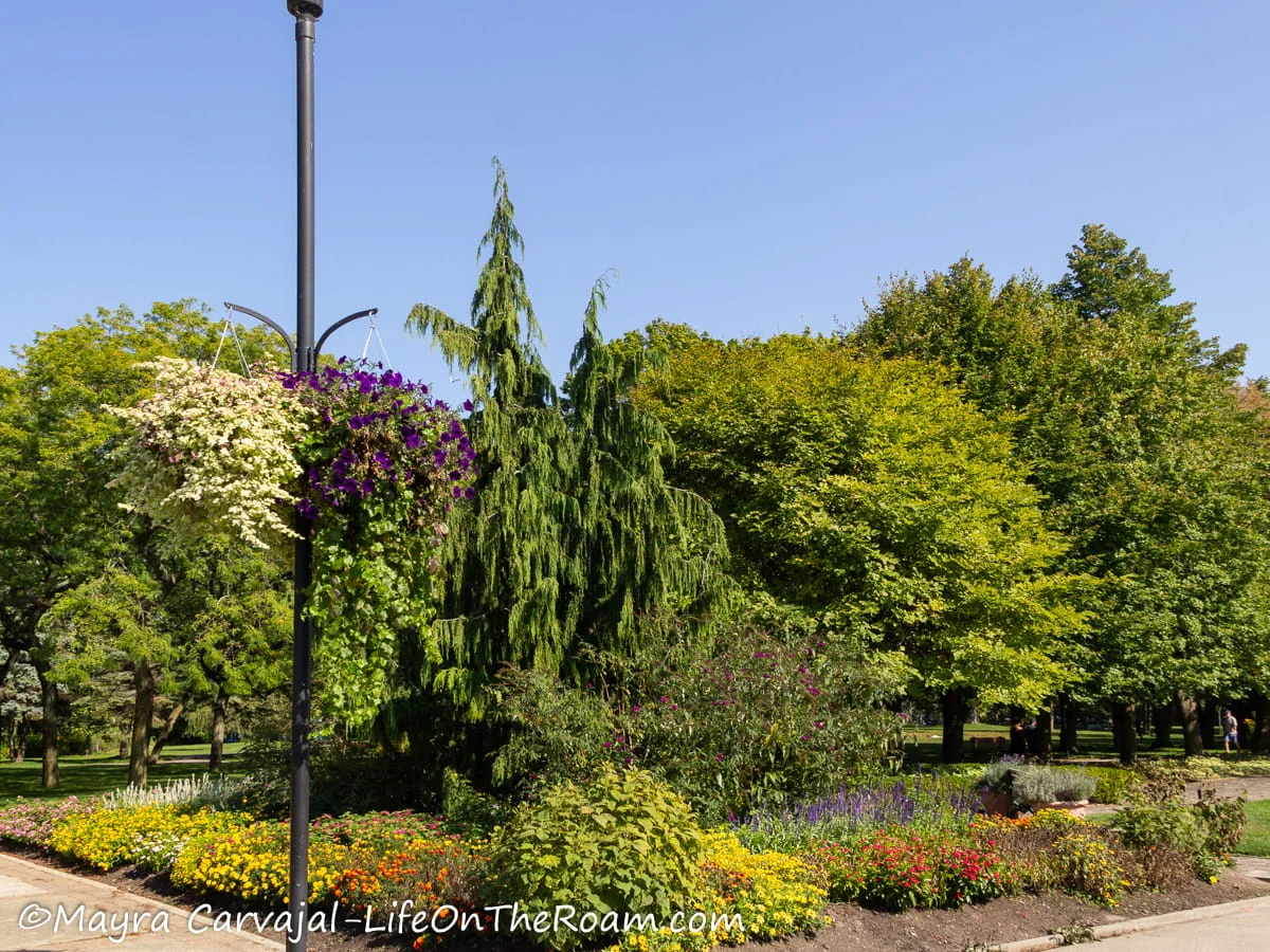 A landscaped garden with flowers and bushes in a park