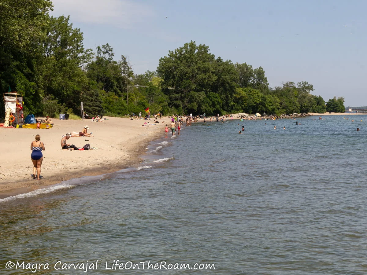 A wide and long sandy beach with trees at the back