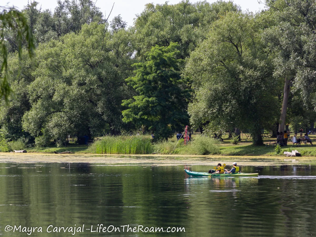 A kayak gliding over the water in a park with mature trees